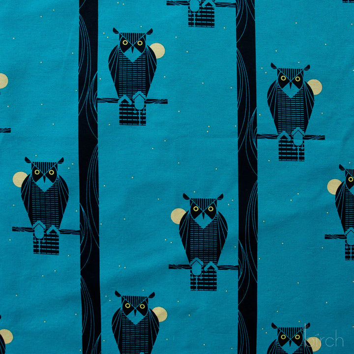 Moon Owl Canvas| by Charley Harper | Coastal Vol. 2