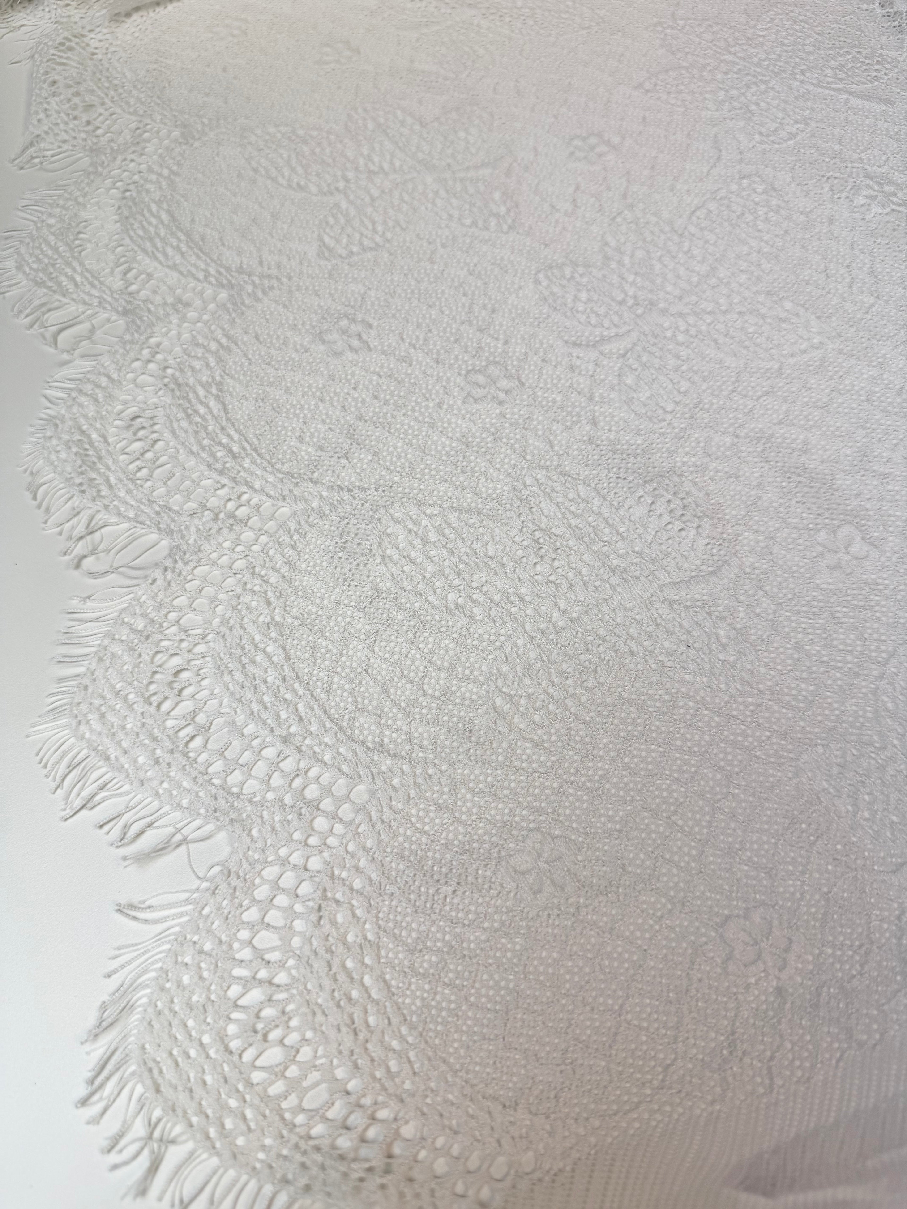 White | French Lace with Scallops on the Selvage