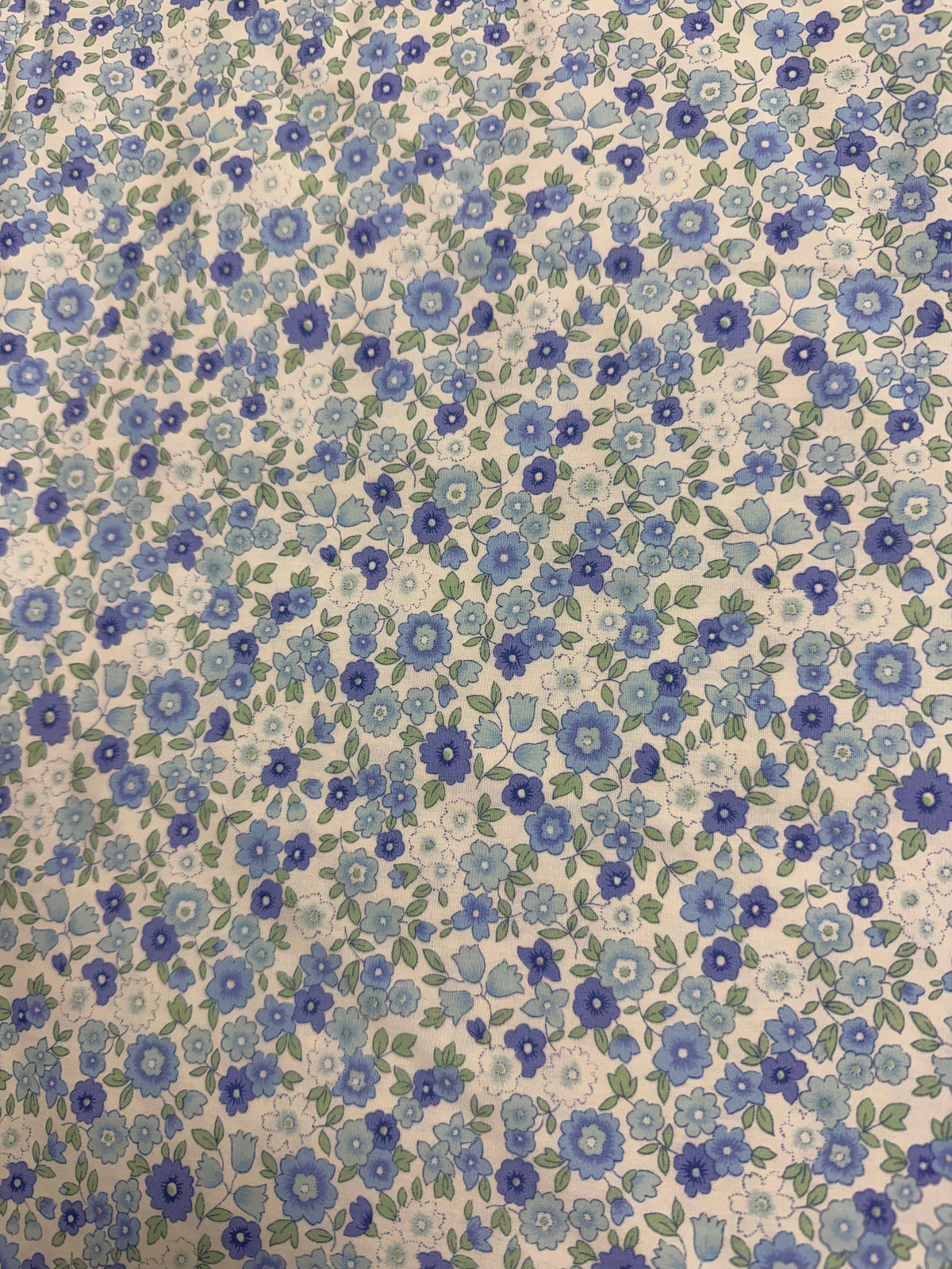 Cream with light blue/dark blue/Green Floral | Liberty Cotton