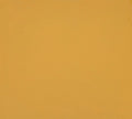 Cornsilk | Premium Quilt Solids | Solid Quilting Fabrics