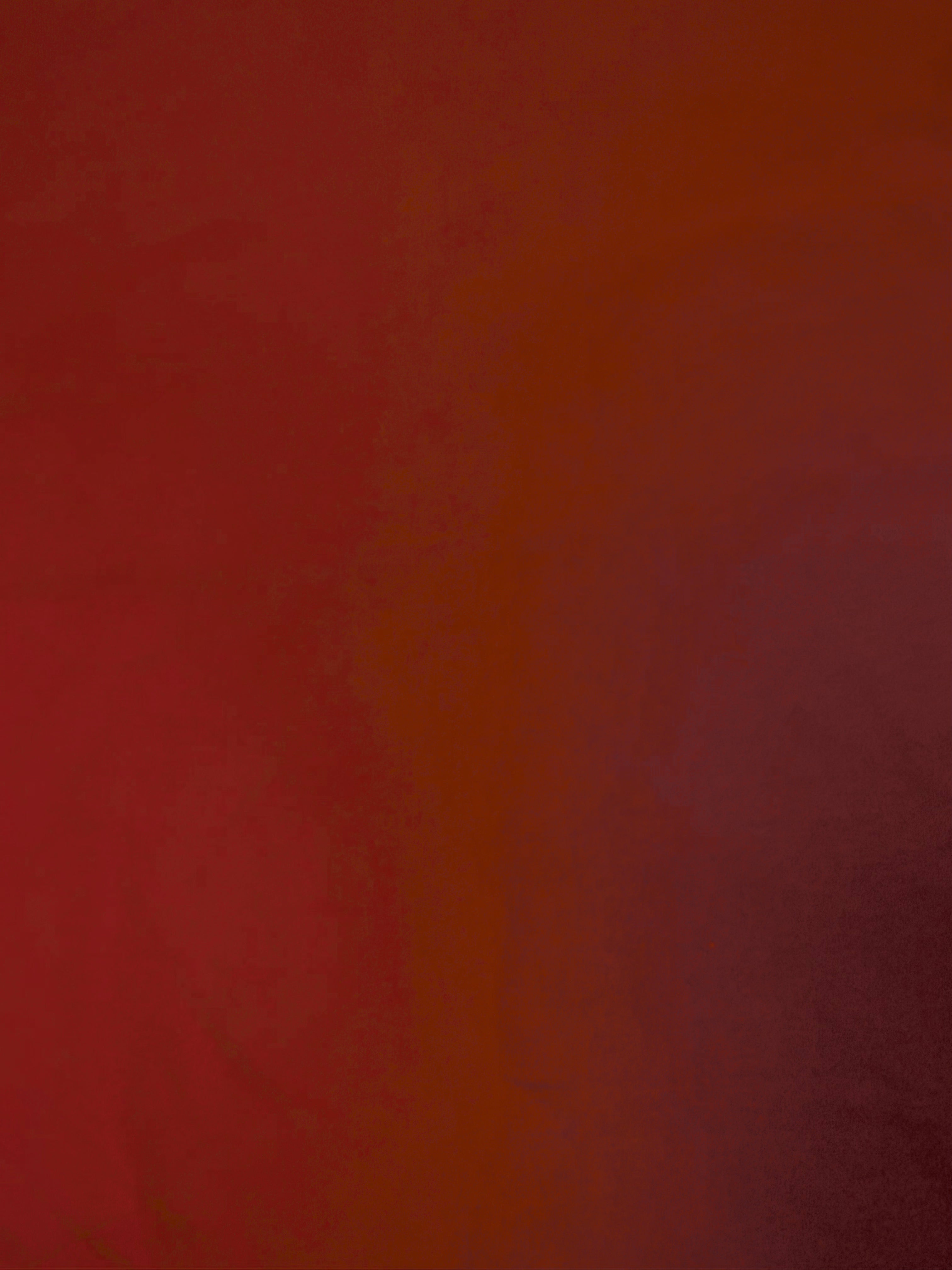 Dark Red | Double Brush | Jersey Knit