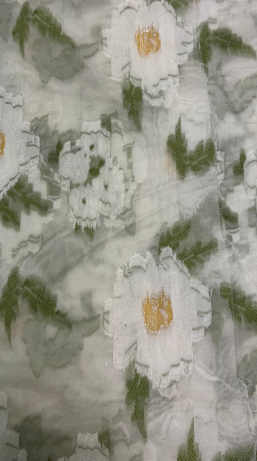 Daisy Floral | Fil Coupe