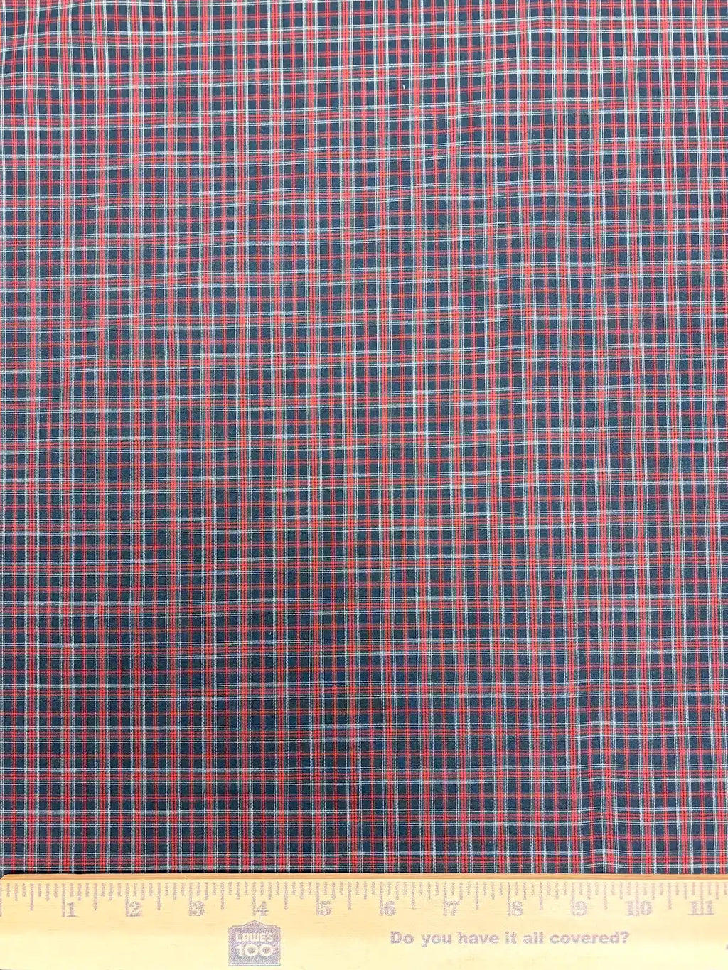 Alexander Mcqueen | Blue & Red Plaid | Cotton