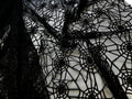 Glitter Web | Flocked Mesh