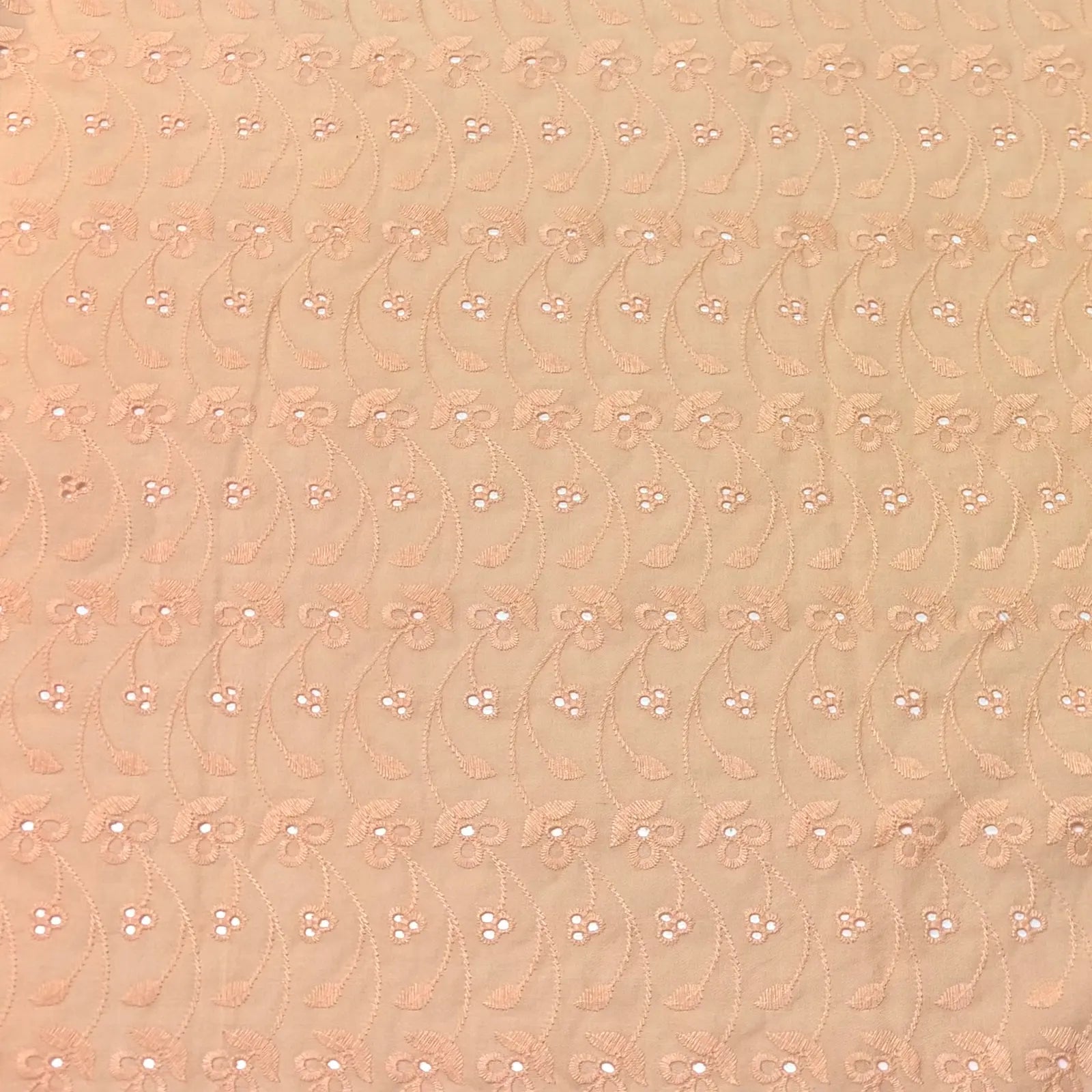 Light Peach Floral Eyelet Embroidered Lawn | Lace