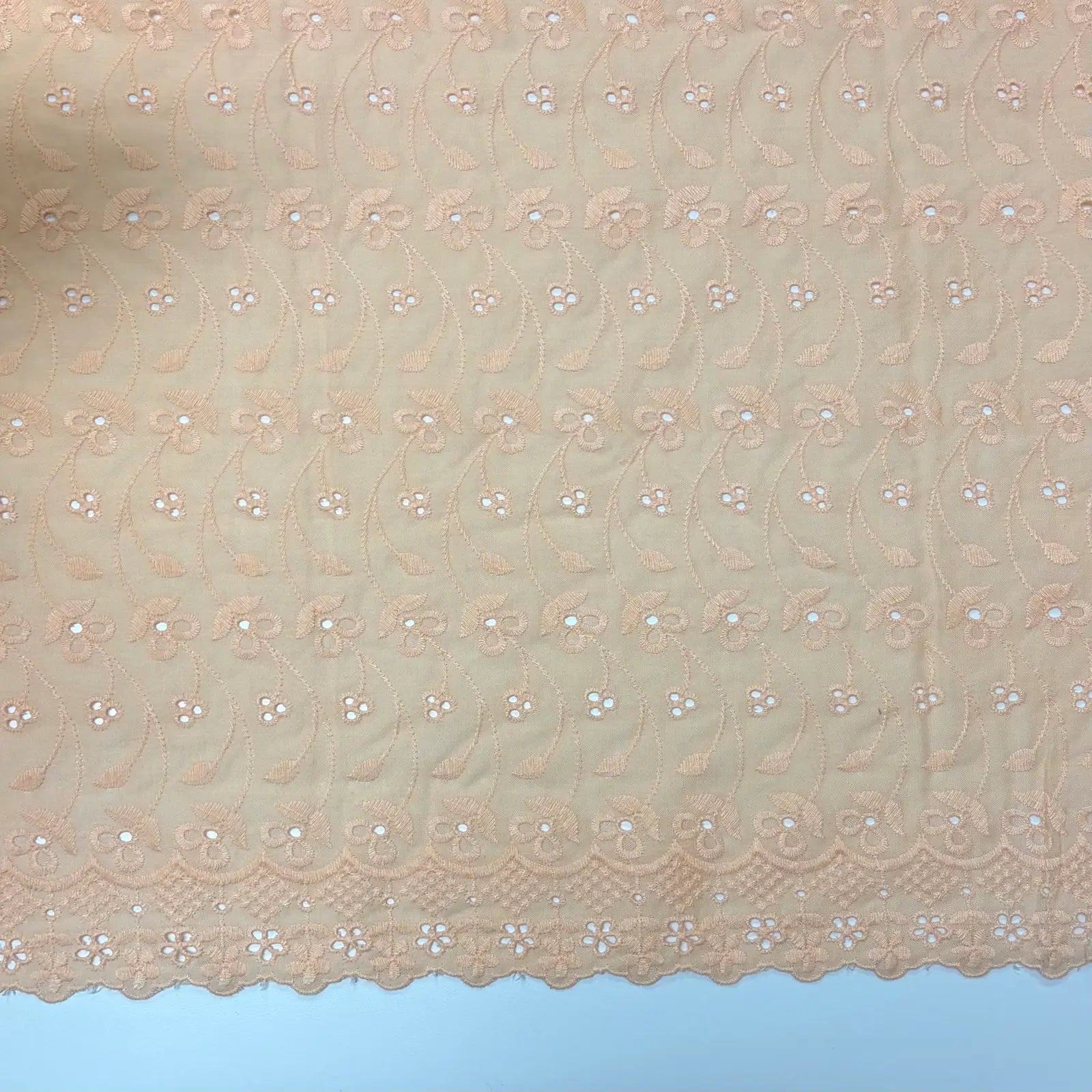 Light Peach Floral Eyelet Embroidered Lawn | Lace