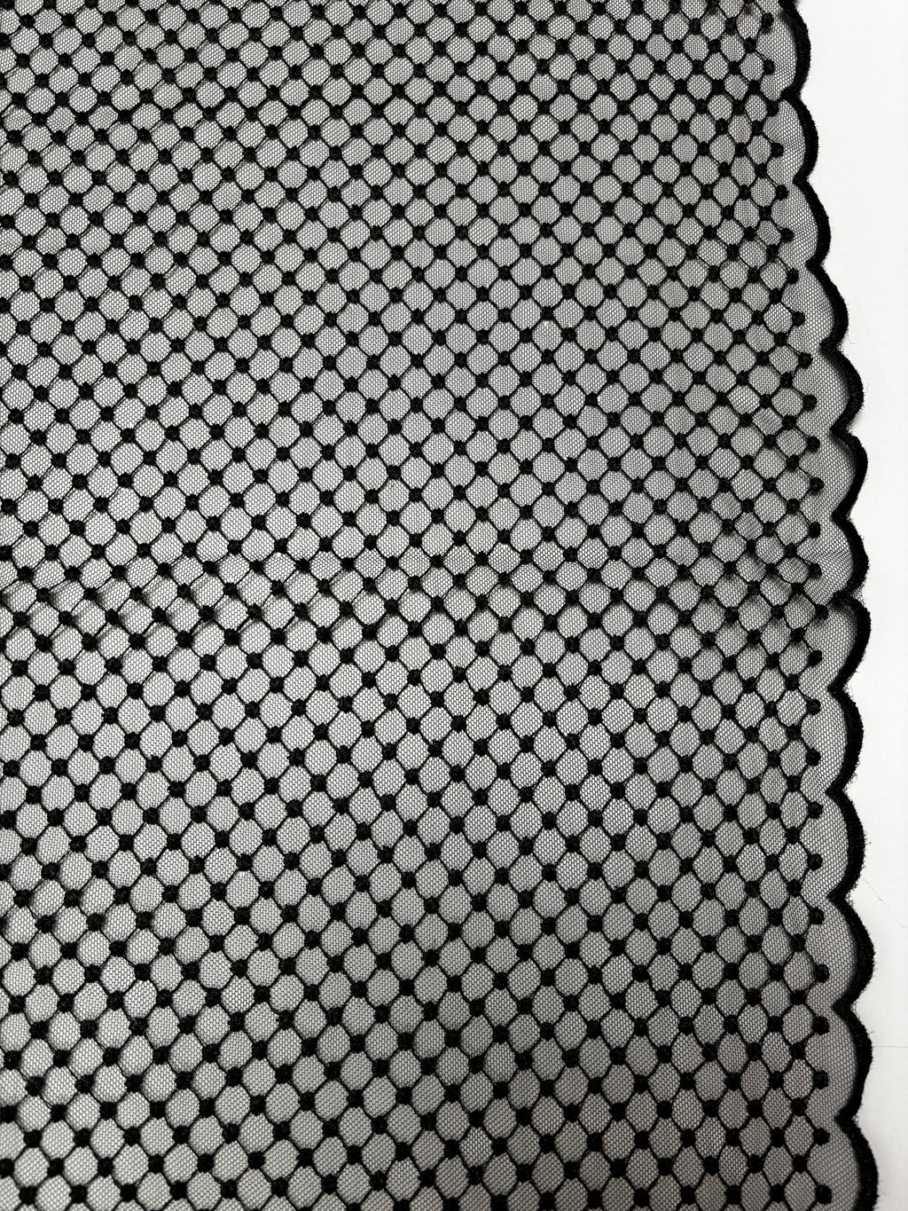 Dotted Line Border Black | Lace