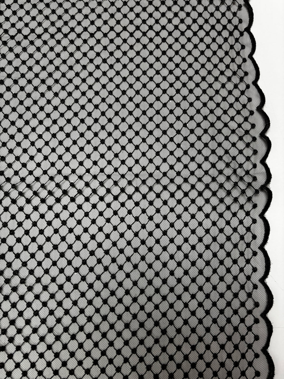 Dotted Line Border Black | Lace