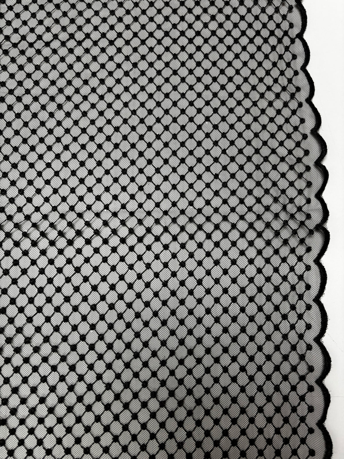 Dotted Line Border Black | Lace