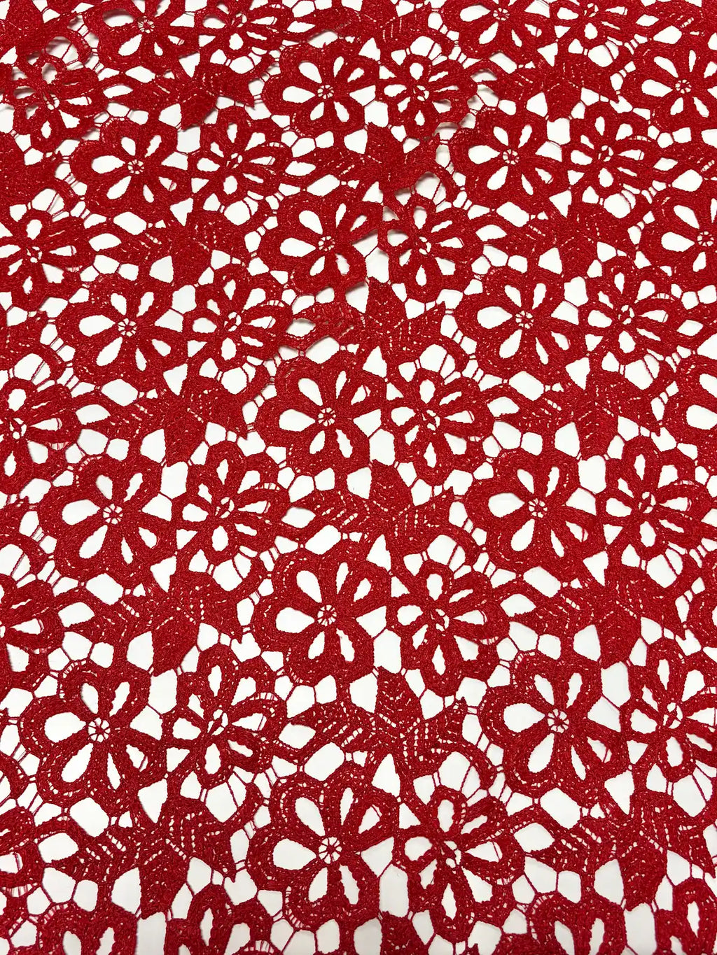 Red Floral | Lace