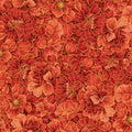 PACKED PEONY METALLIC IMPERIAL | CHONG-A HWANG | Imperial Bloom