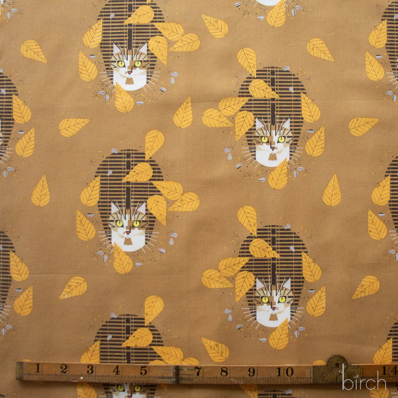 Birdwatcher | Charley Harper | Iconic Vol. 2 collection