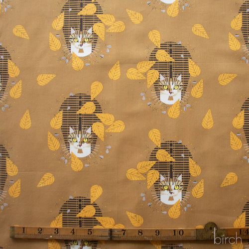 Birdwatcher | Charley Harper | Iconic Vol. 2 collection