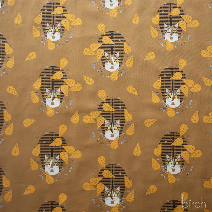 Birdwatcher | Charley Harper | Iconic Vol. 2 collection