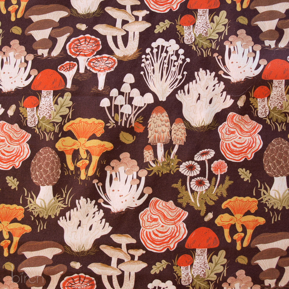 Forage Earth Lawn | by Oana Befort | Flourish Lawn