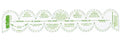 Scallop Ruler 1" | Quick Points Ruler