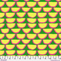Segments - Green || Brandon Mably |  Kaffe Fassett August 2026 Collection