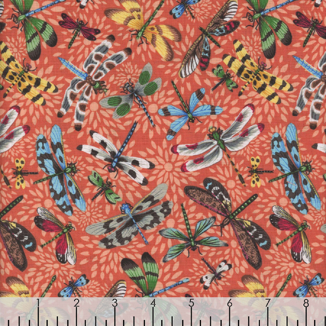 Dragonflies in Tangerine | Utopia