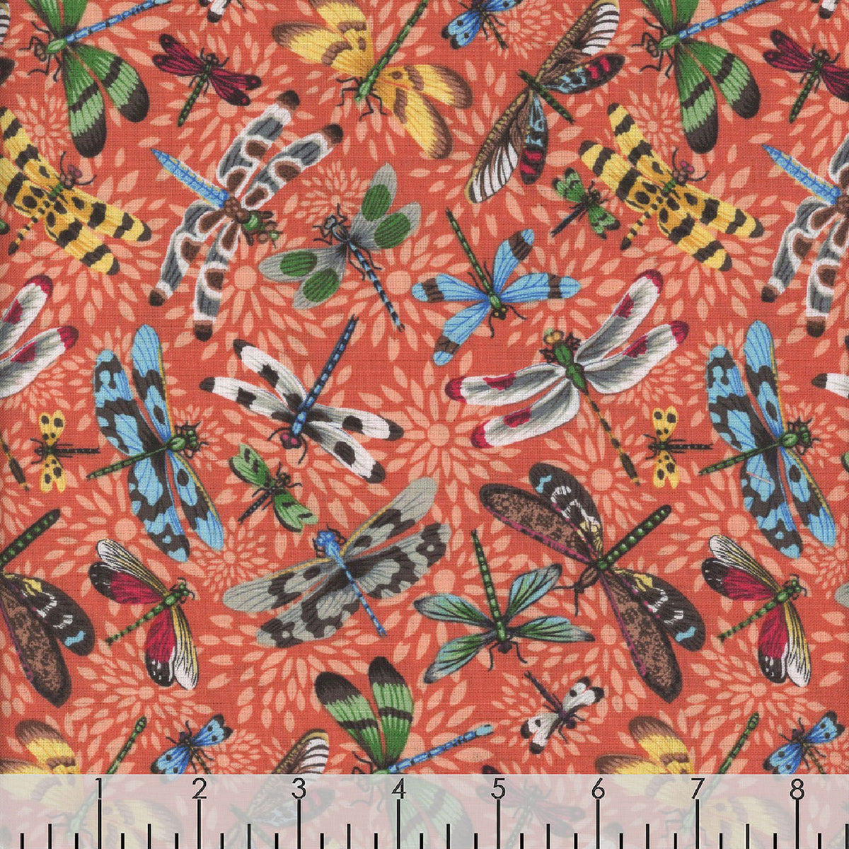 Dragonflies in Tangerine | Utopia