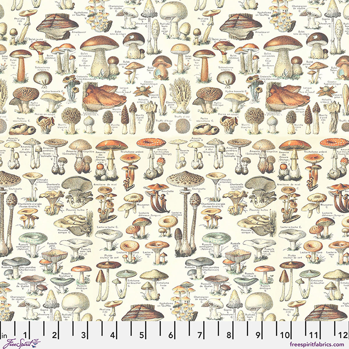 Orange Toadstools in Orange || by Tim Holtz | Palette Curated