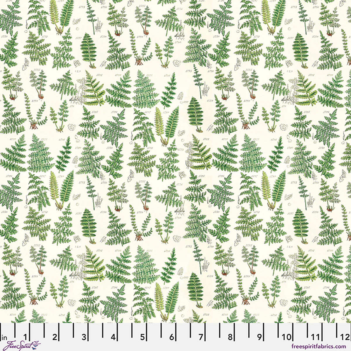 Green Ferns in Green || by Tim Holtz | Palette Curated