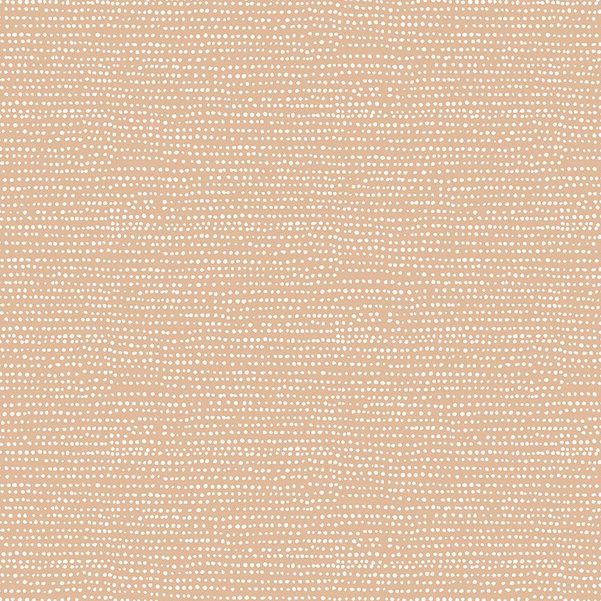 MOONSCAPE | Dear Stella