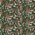 The Fungi Kingdom | Dear Stella | Moth to a Flame