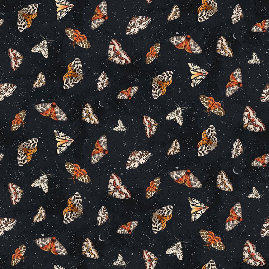 Moonlit Flight | Dear Stella | Moth to a Flame