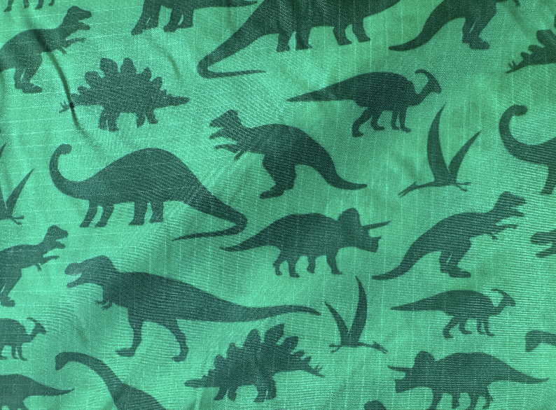 Green Dinosaurs | Rip Stop