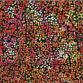 Confetti in Pomegranate | Cotton Batiks |  Hoffman Fabrics