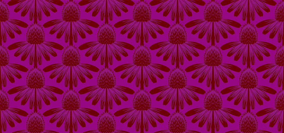 Magenta - Coneflower | by Anna Maria | Iconic Collection