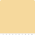 Beehive | Riley Blake Solids