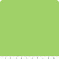 Green Smoothie | Riley Blake Solids