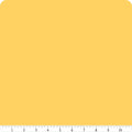 Riley Yellow | Riley Blake Solids