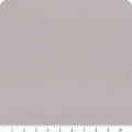 Silver | Riley Blake Solids