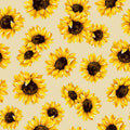 Sunflowers in Natural | Sunflower Dance