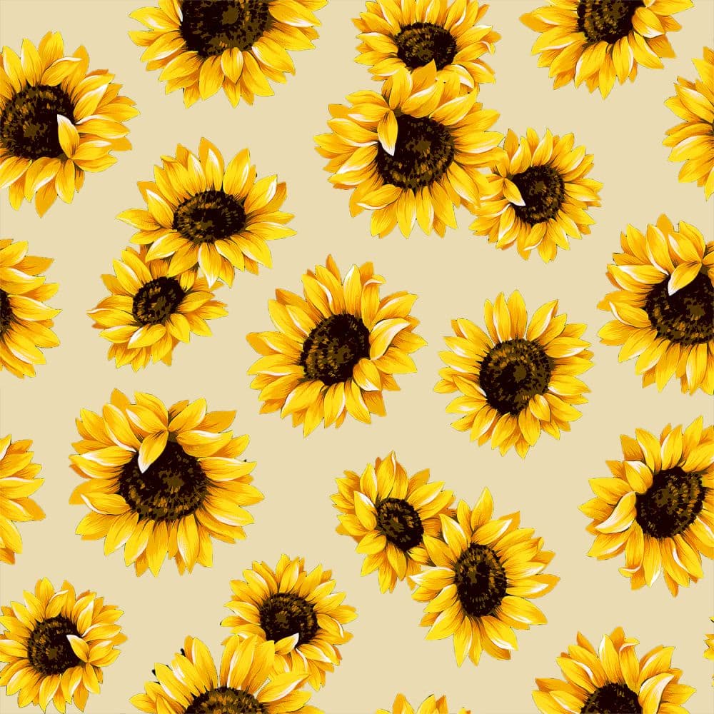 Sunflowers in Natural | Sunflower Dance
