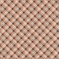 Prairie in Plaid Dusty Rose | Modern Prairie |  Evening on the Prairie
