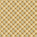Prairie in Plaid Sienna | Modern Prairie |  Evening on the Prairie